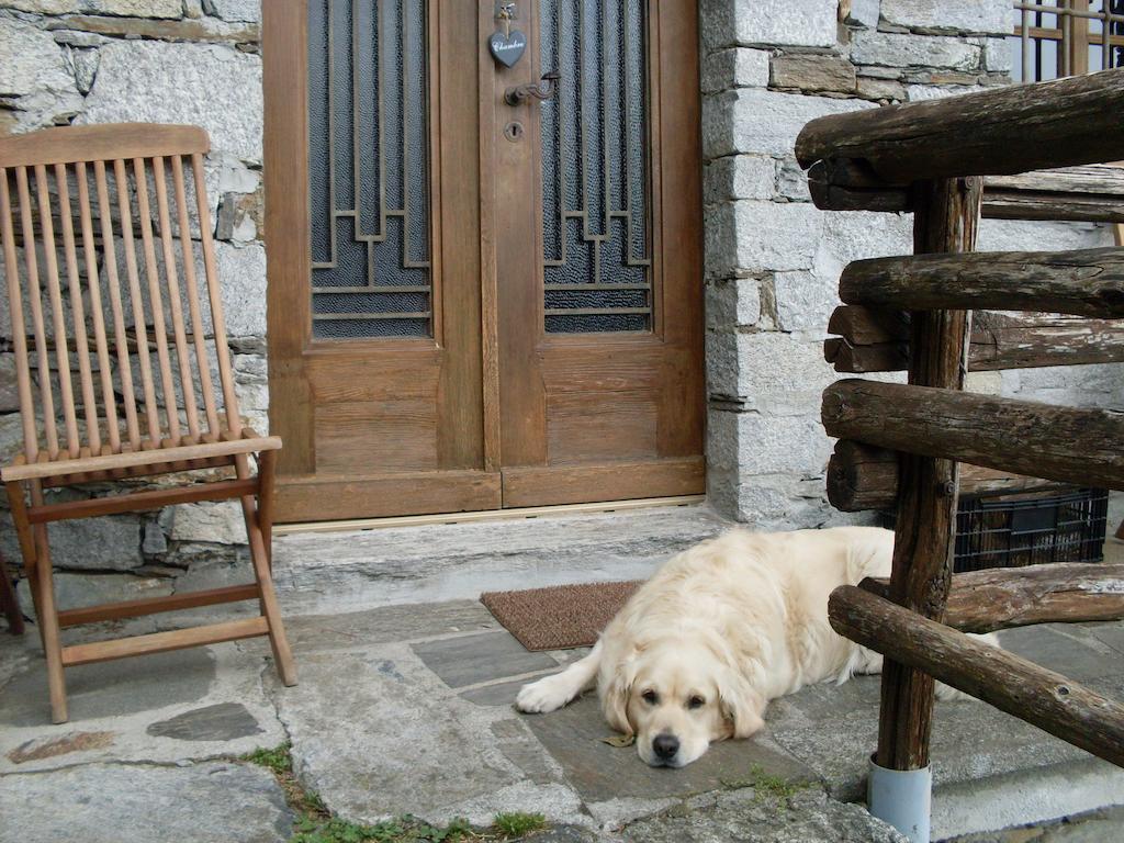 Agriturismo Da Attilio Cannobio Room photo
